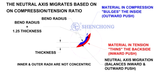 neutral axis